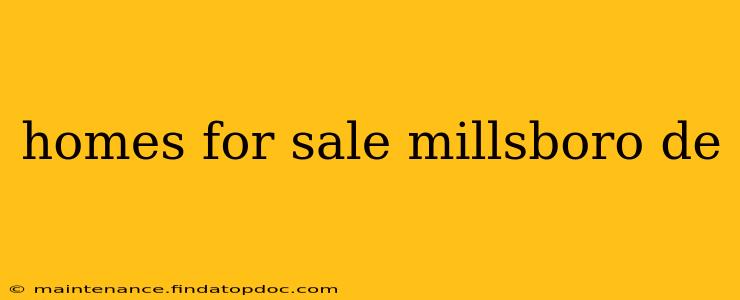 homes for sale millsboro de