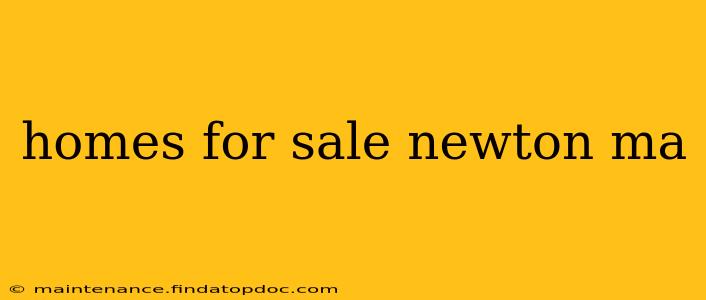 homes for sale newton ma