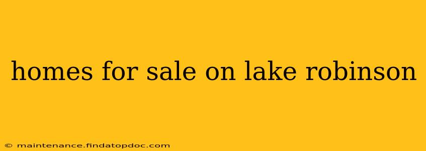 homes for sale on lake robinson