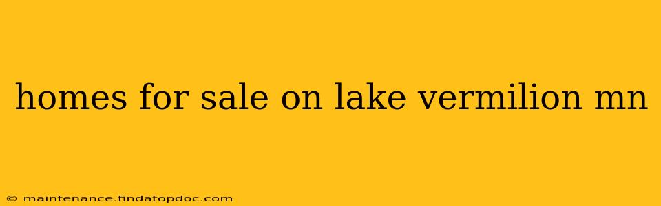 homes for sale on lake vermilion mn