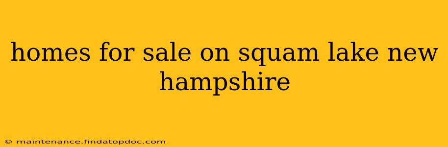 homes for sale on squam lake new hampshire