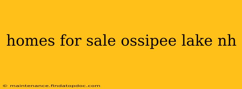 homes for sale ossipee lake nh