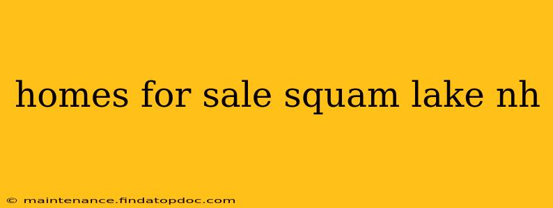 homes for sale squam lake nh