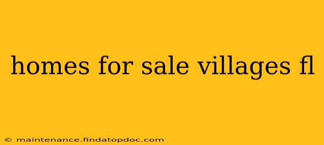 homes for sale villages fl