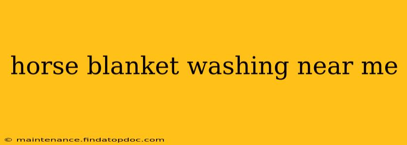 horse blanket washing near me