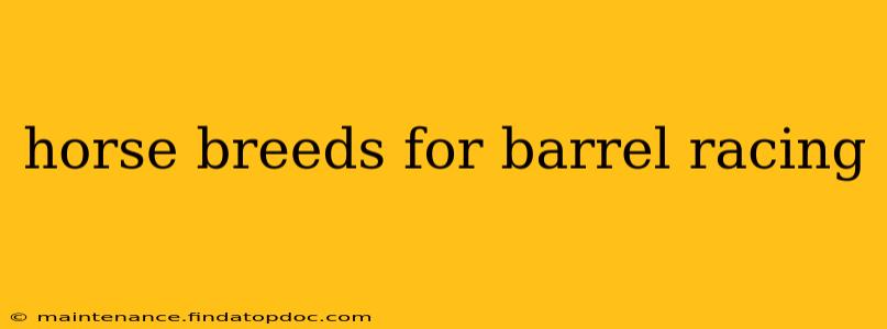 horse breeds for barrel racing