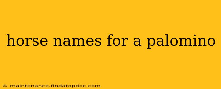 horse names for a palomino