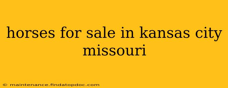 horses for sale in kansas city missouri