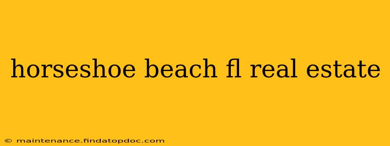 horseshoe beach fl real estate