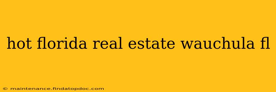 hot florida real estate wauchula fl