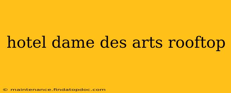 hotel dame des arts rooftop