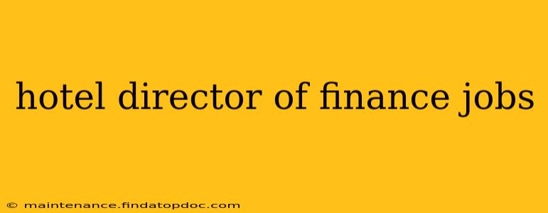 hotel director of finance jobs