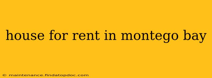 house for rent in montego bay