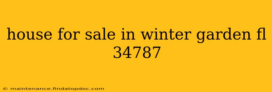 house for sale in winter garden fl 34787