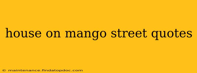 house on mango street quotes