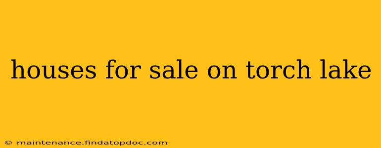 houses for sale on torch lake