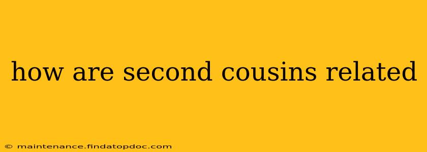 how are second cousins related