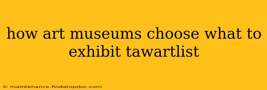 how art museums choose what to exhibit tawartlist
