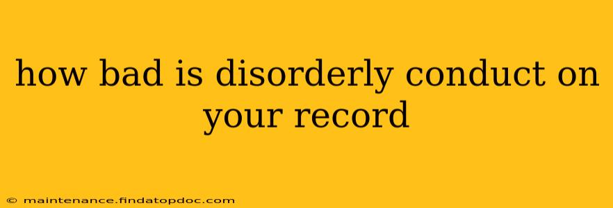 how bad is disorderly conduct on your record