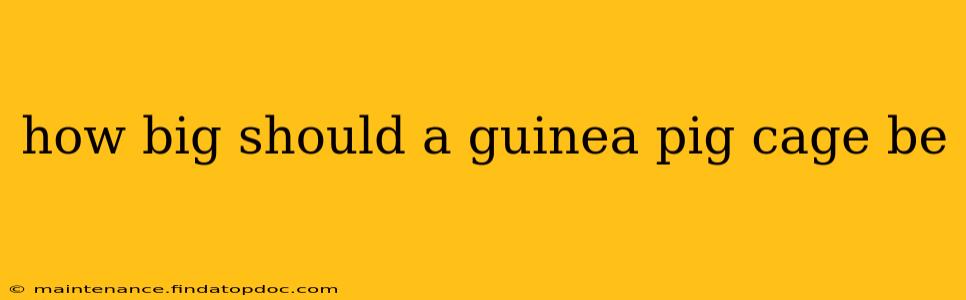 how big should a guinea pig cage be