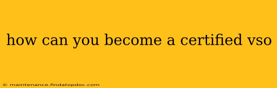 how can you become a certified vso