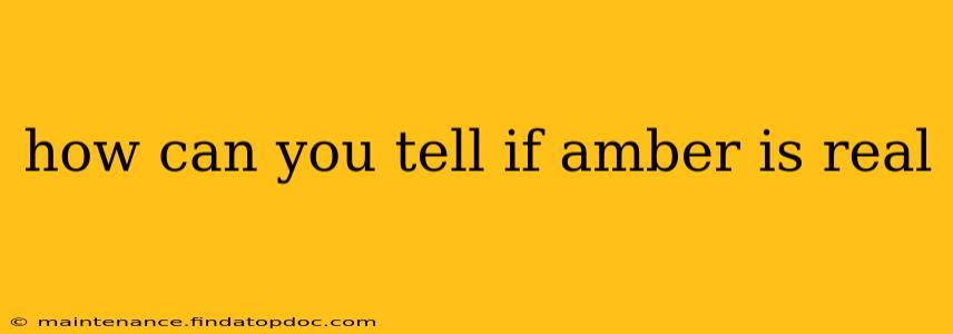 how can you tell if amber is real