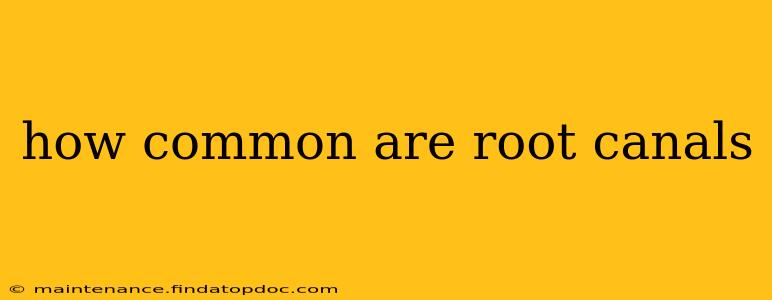 how common are root canals