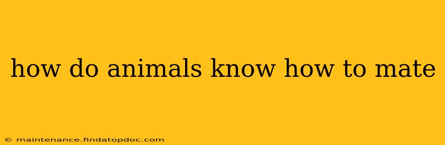 how do animals know how to mate