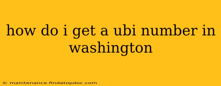 how do i get a ubi number in washington