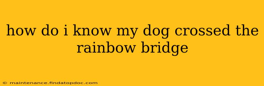 how do i know my dog crossed the rainbow bridge