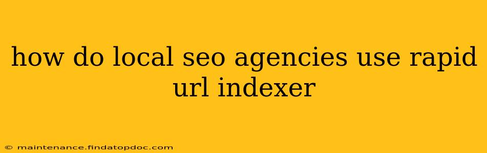 how do local seo agencies use rapid url indexer