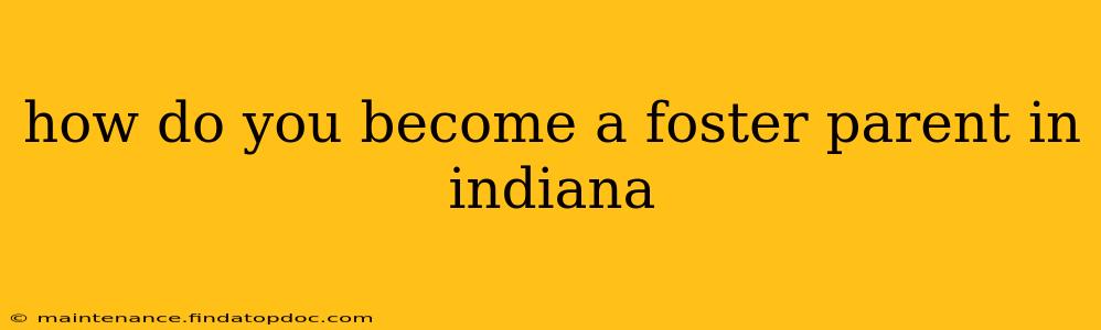 how do you become a foster parent in indiana
