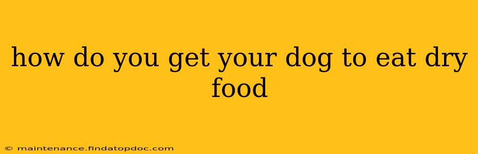 how do you get your dog to eat dry food