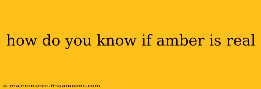how do you know if amber is real