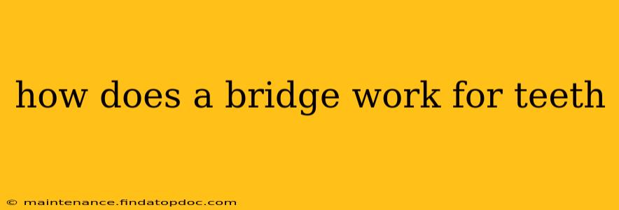 how does a bridge work for teeth