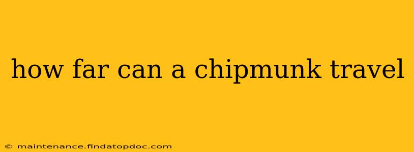 how far can a chipmunk travel