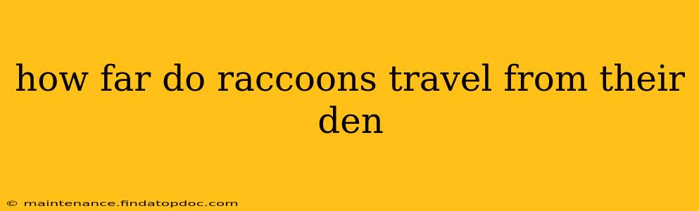 how far do raccoons travel from their den
