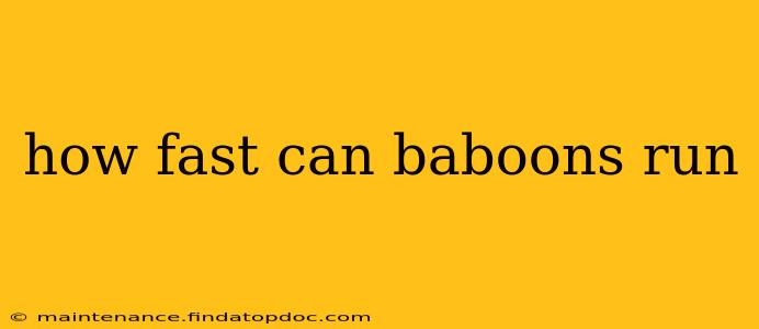 how fast can baboons run