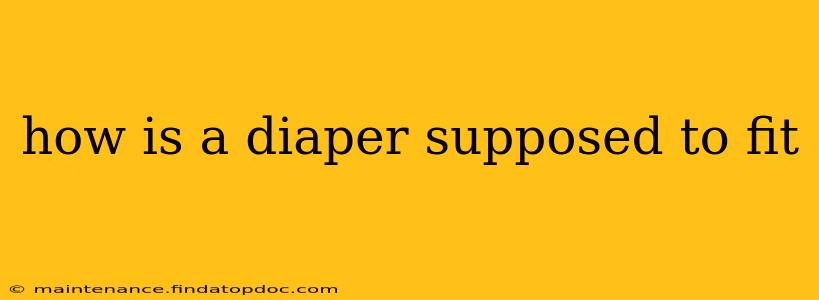 how is a diaper supposed to fit