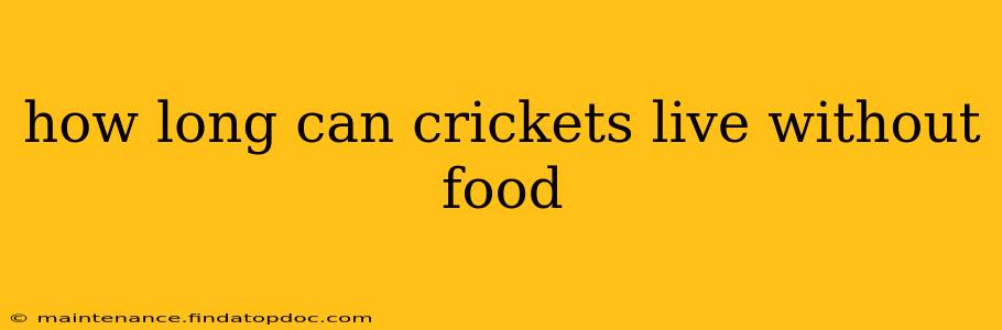 how long can crickets live without food