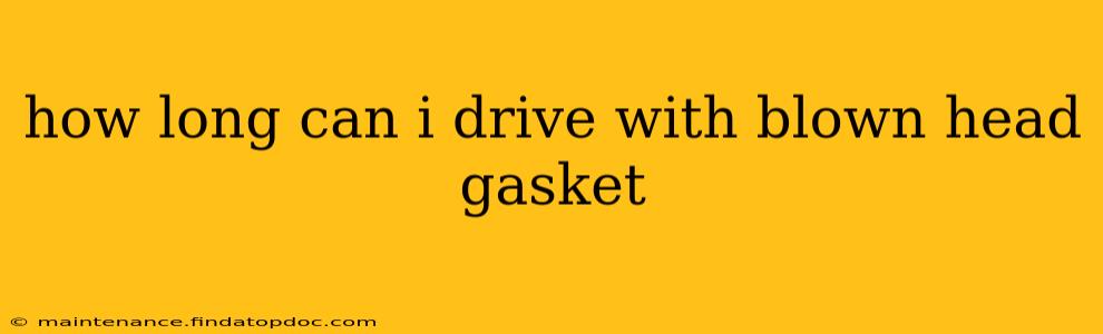 how long can i drive with blown head gasket