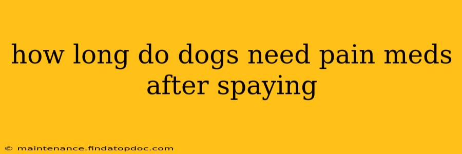 how long do dogs need pain meds after spaying