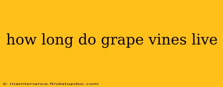how long do grape vines live