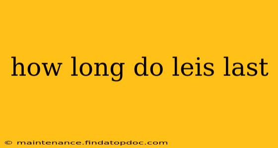 how long do leis last