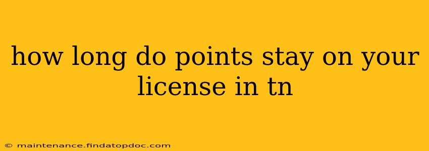 how long do points stay on your license in tn