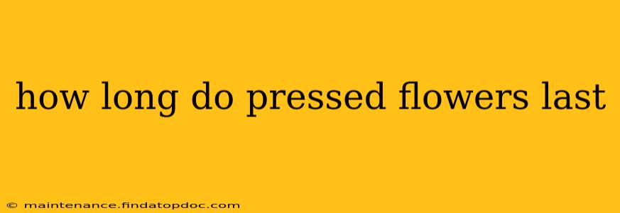how long do pressed flowers last