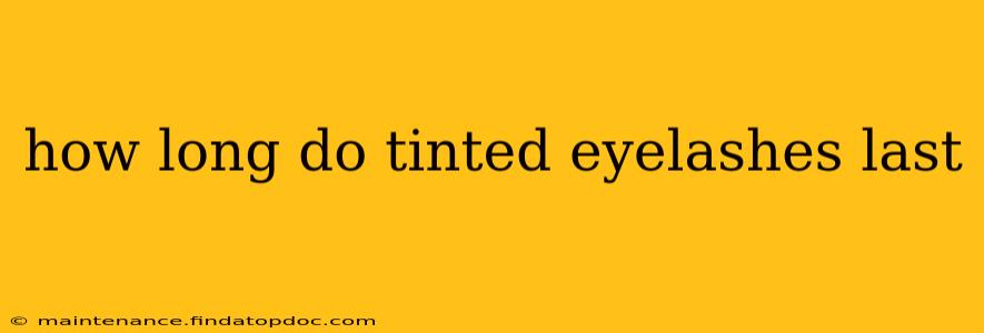 how long do tinted eyelashes last