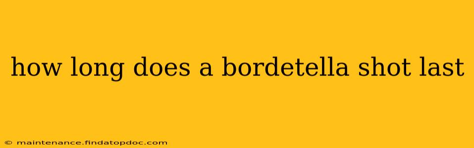 how long does a bordetella shot last