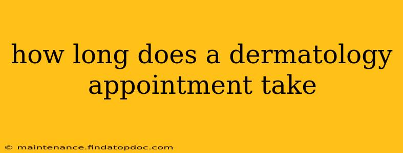 how long does a dermatology appointment take