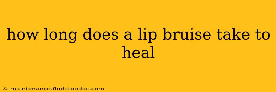 how long does a lip bruise take to heal